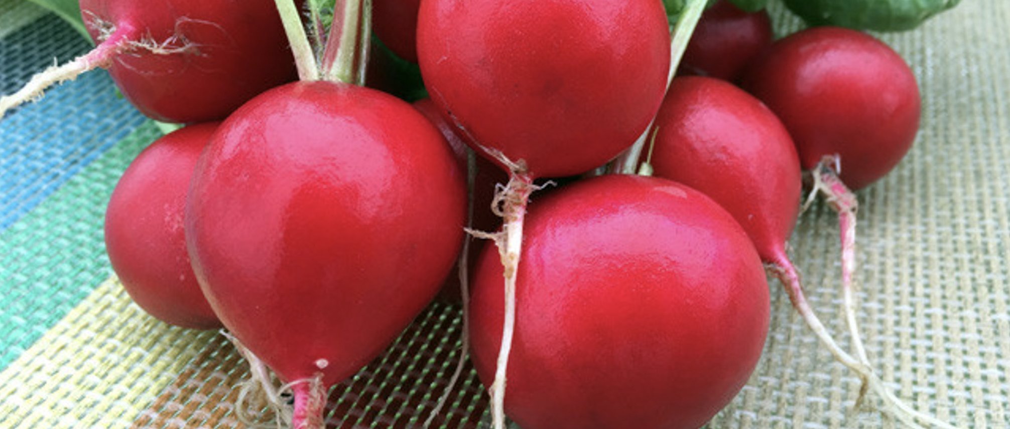 Radish