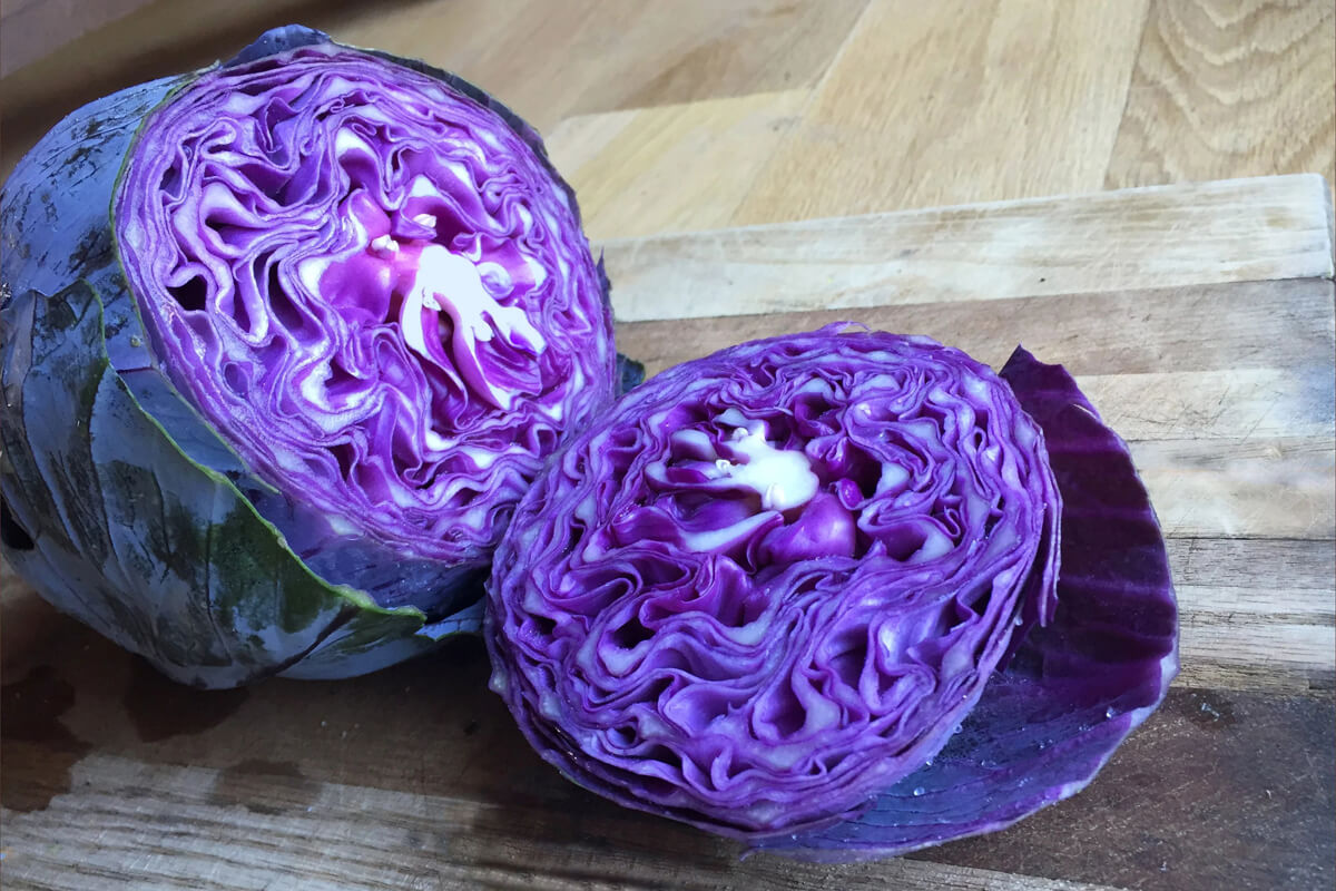 Cabbage & Napa Cabbage grown from seeds available here.