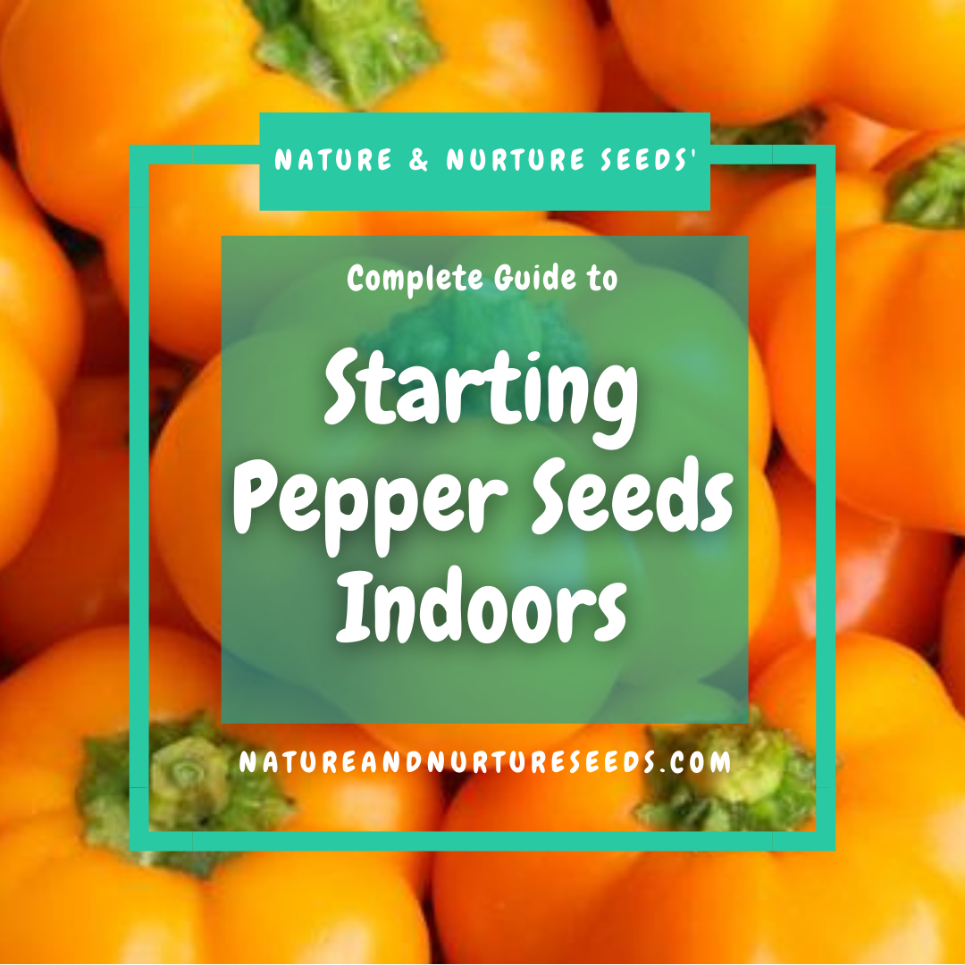 Our complete guide to starting hot and mild pepper seeds indoors.