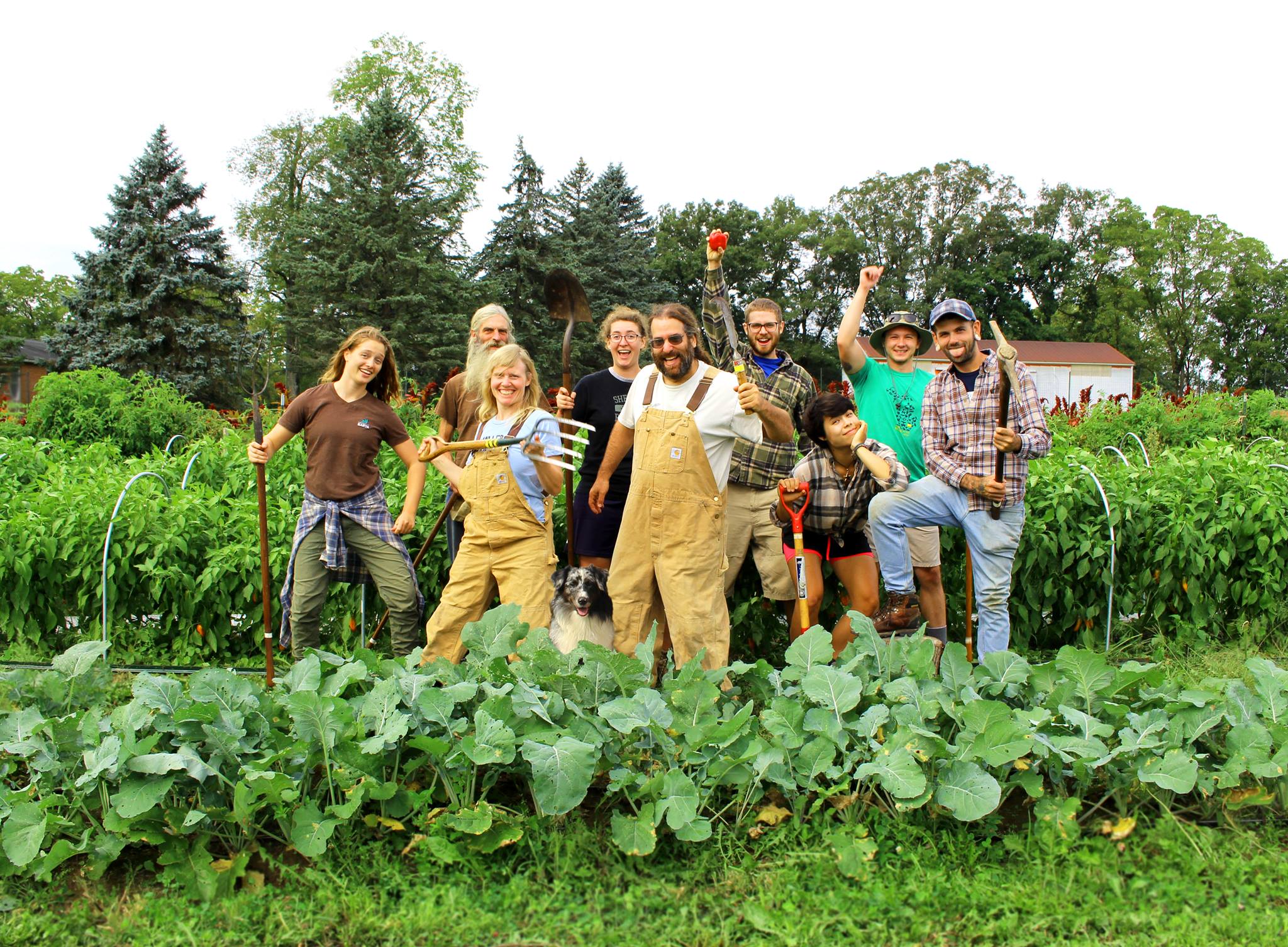 58462104 2880399071985450 8332814540873924608 n