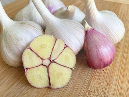 garlic plant seed pods Music Organic Seed Garlic