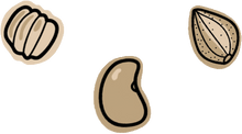 Seed graphics transparent