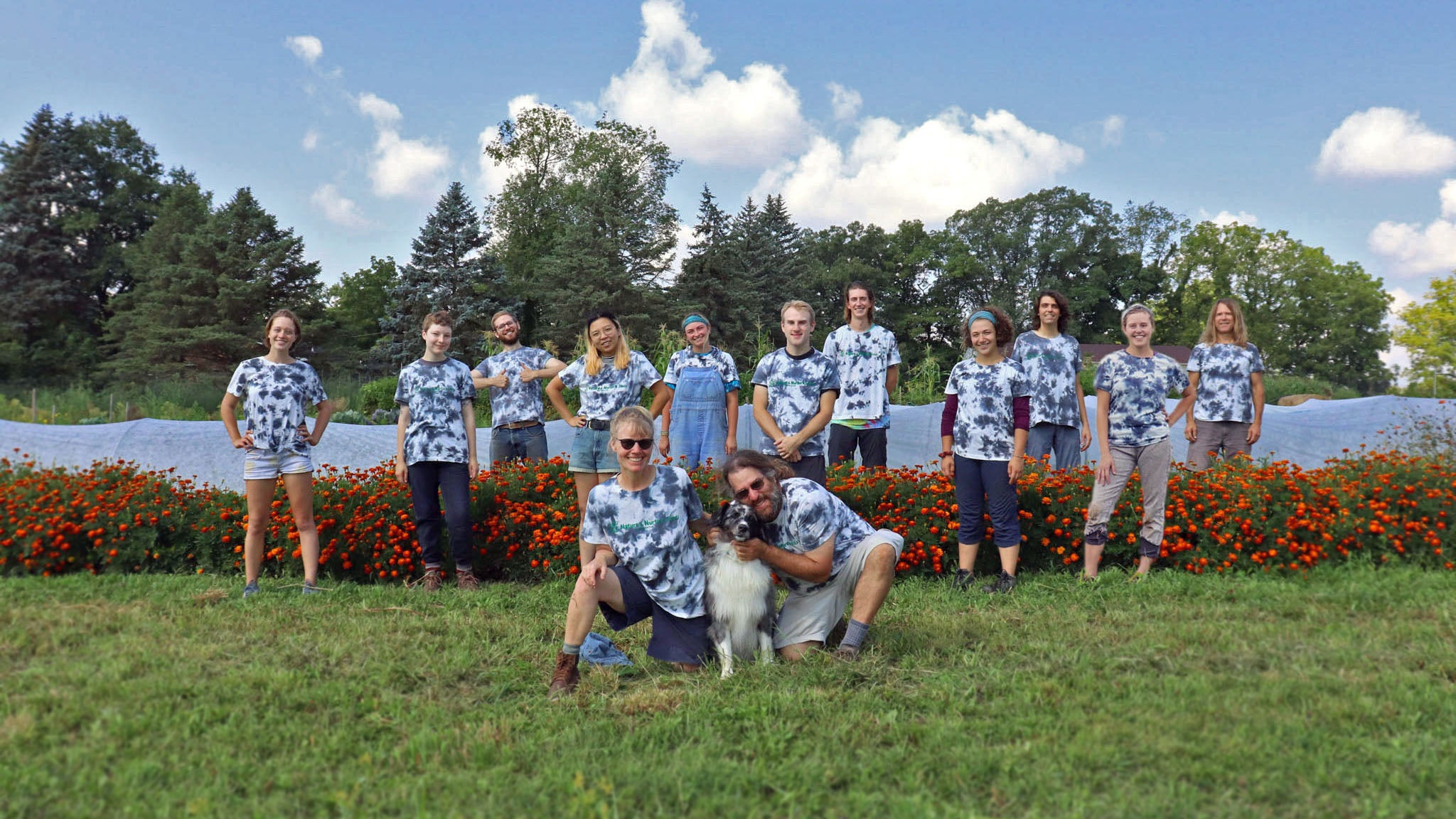 Team normal edit 7 blurred and cropped