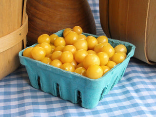 Aunt Molly's Ground Cherry
