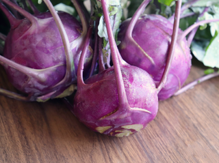 Azur Star Kohlrabi