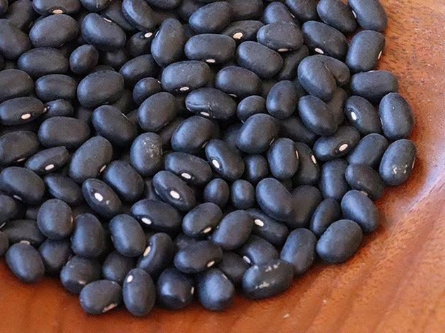 turtle vine plant seeds Black Turtle Bean Seeds - Grow Protein-Rich, Hearty Harvests