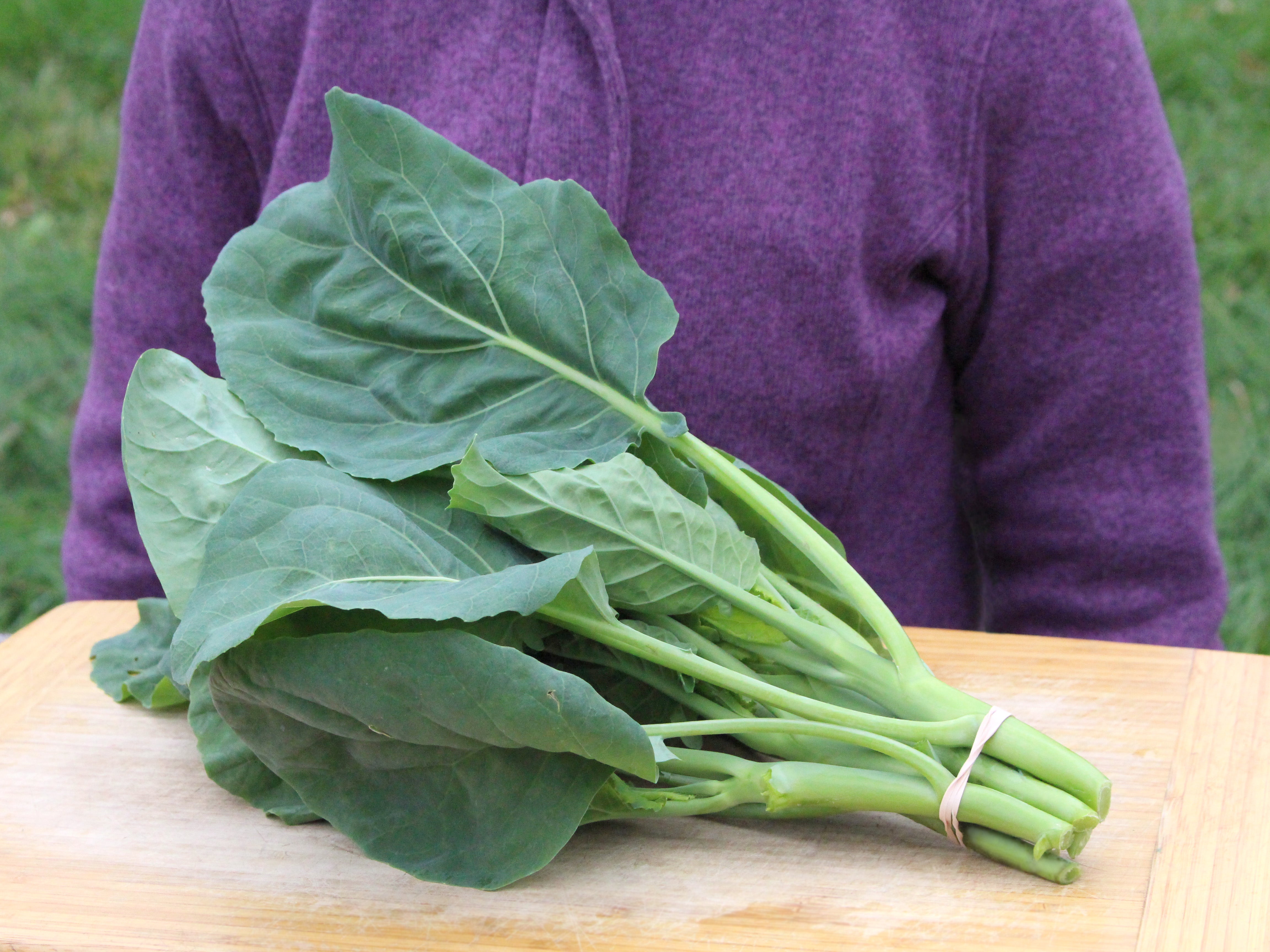 lin lan flower seeds for sale Blue Star Organic Gai Lan Seeds - Grow Crisp, Cold-Hardy Greens