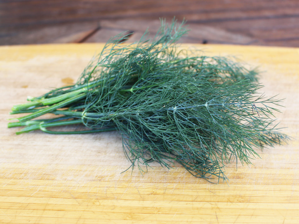 organic dill seeds for planting Bouquet Organic Dill Seeds - Grow Flavorful Herbs Easily