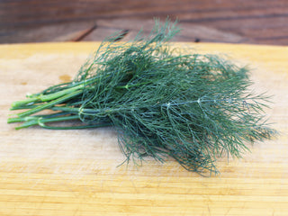 Bouquet Organic Dill