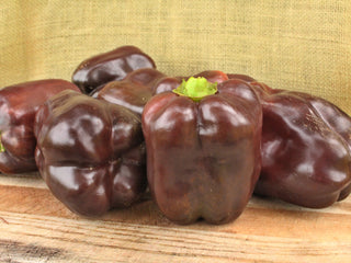 Chocolate Cake Organic Sweet Bell Pepper