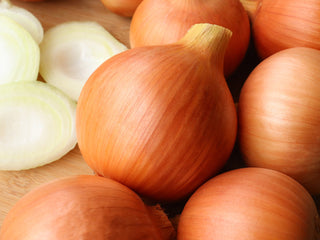 Clear Dawn Onion
