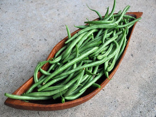 Cupidon Bean