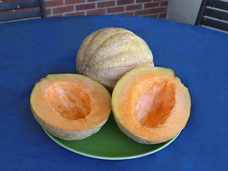Dakota Sisters Melon