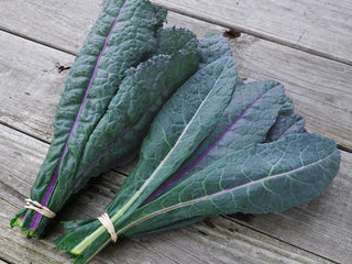 Dazzling Blue Kale