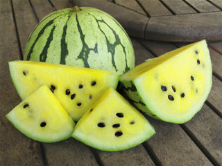 Early Moonbeam Watermelon