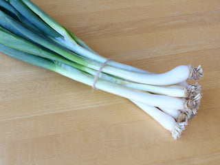Evergreen Hardy Organic Scallion