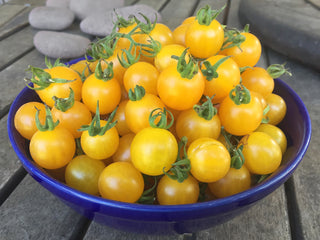 Gold Currant Tomato