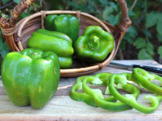 Michigan Wonder Sweet Bell Pepper