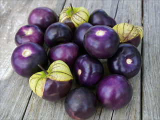 Morado Tomatillo