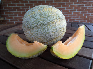 Pride of Wisconsin Melon