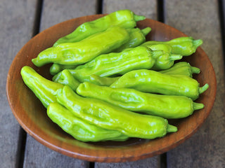 Shishito Hot Pepper