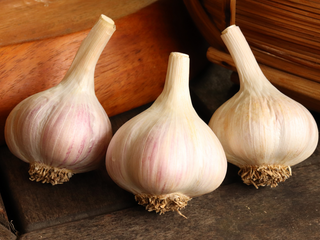 Spanish Roja Garlic Bulbs