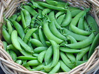 Sugar Snap Pea