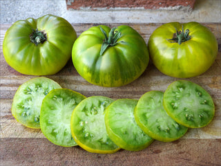 Tasty Evergreen Tomato