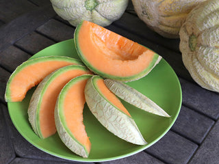 Trifecta Melon
