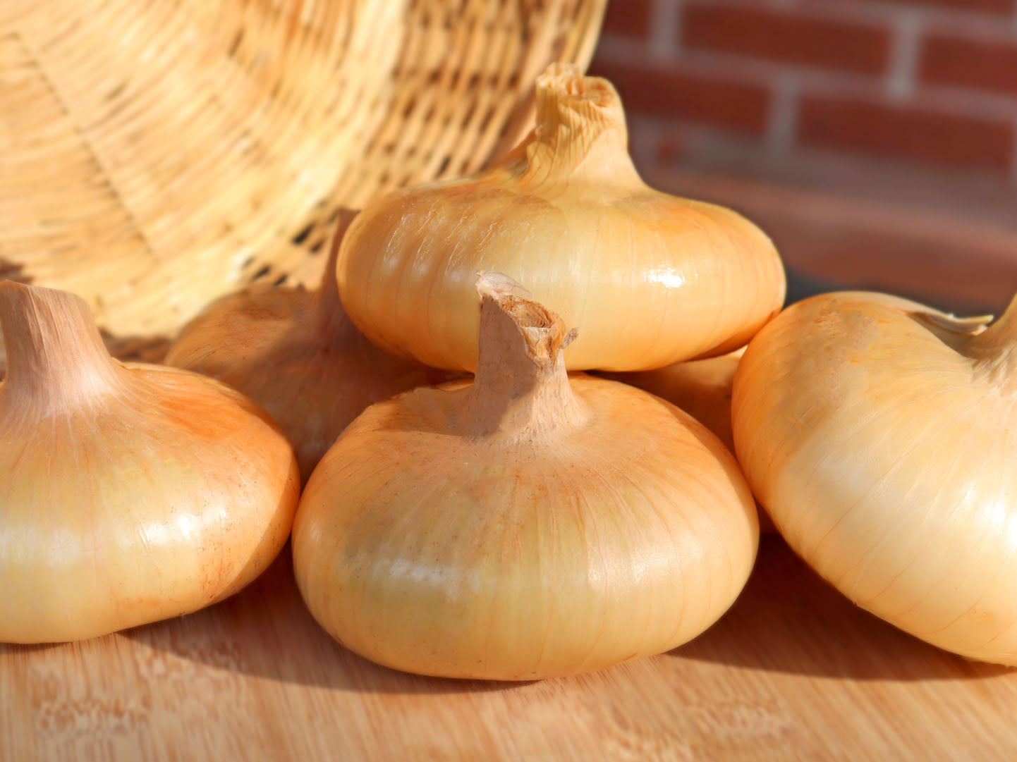 Yellow Cipollini Onion Seeds Nature & Nurture Seeds
