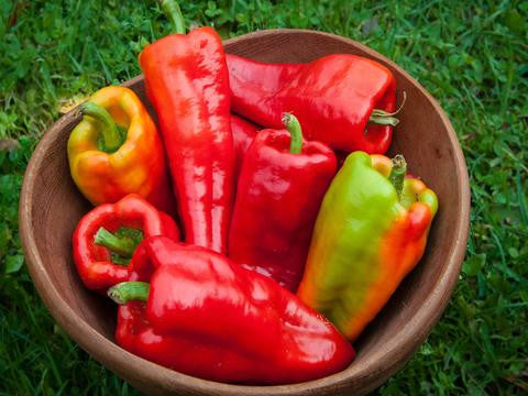 Wisconsin Seeds Buy Wisconsin Vegetable Seeds | Regional Heirlooms | Nature & Nurture Seeds