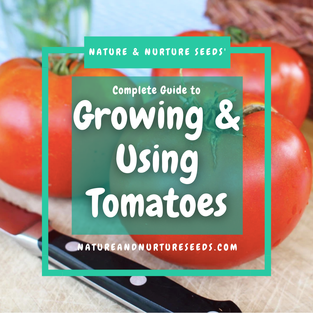 Grow and use tomatoes with this easy to follow guide.