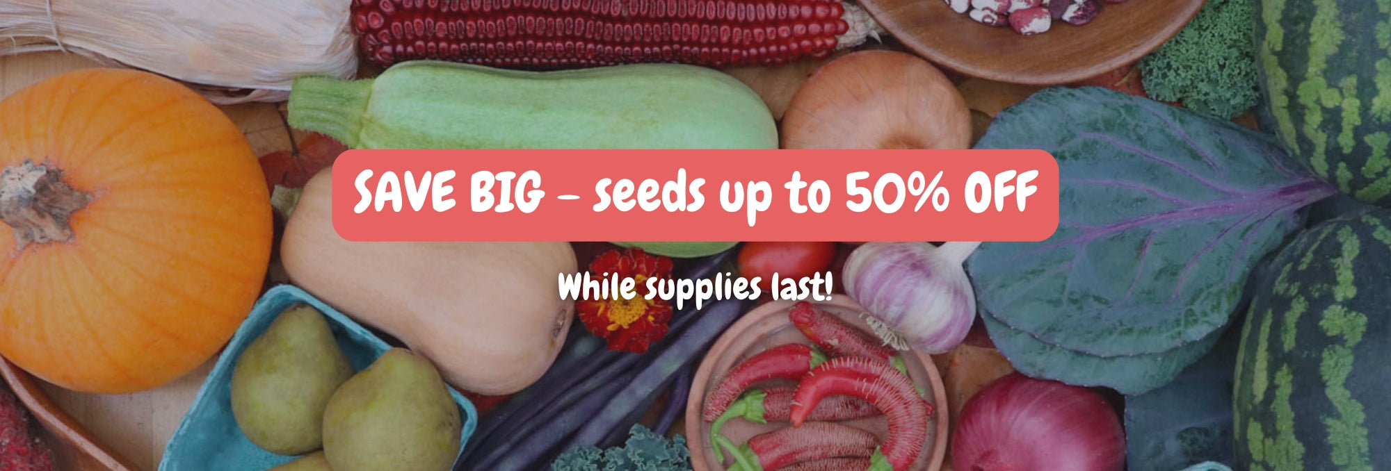 2025 SALE - up to 50% OFF