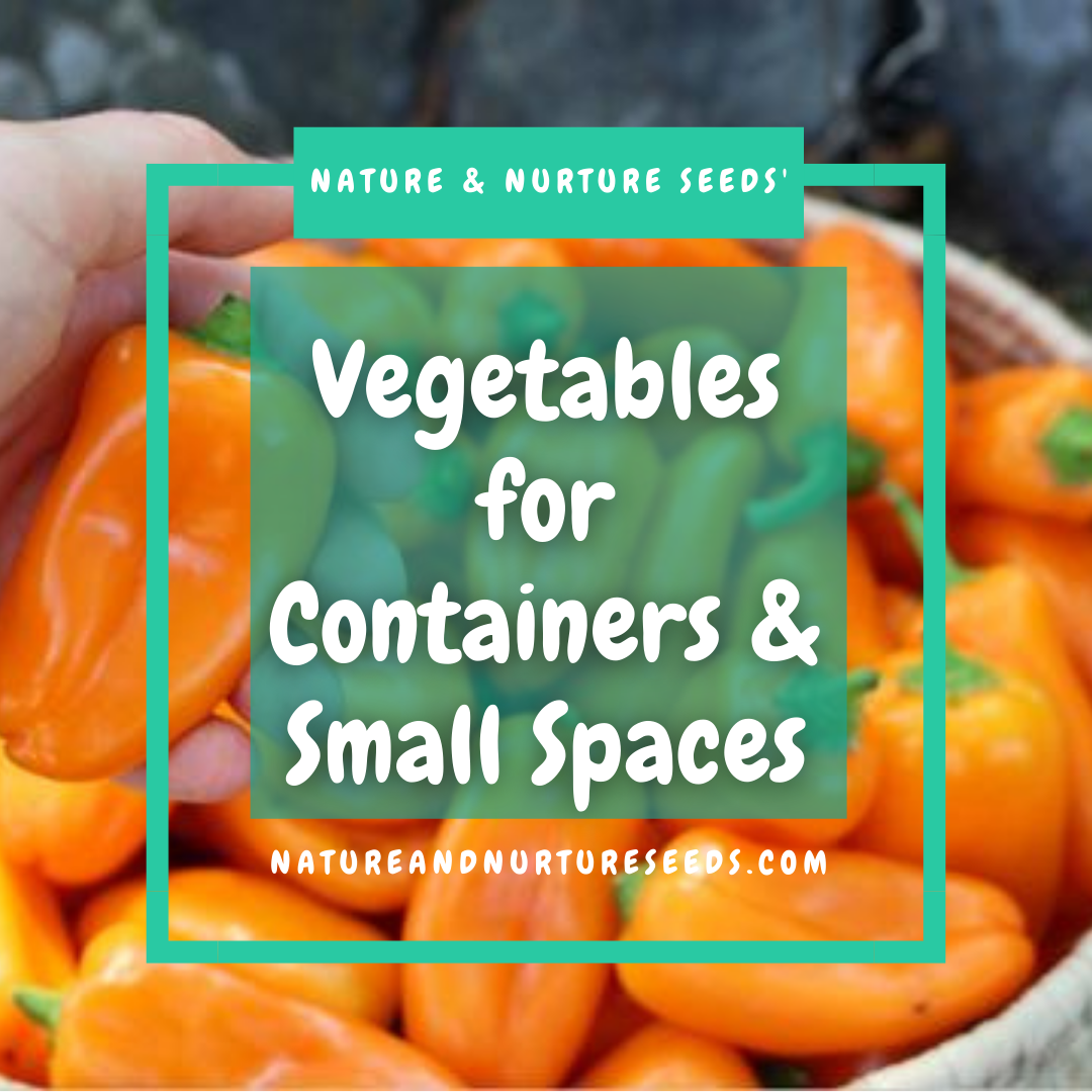 You complete guide for growing vegetables in containers, or container gardening.