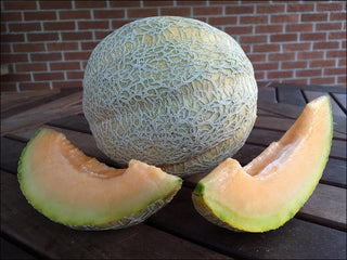 Organic heirloom Pride of Wisconsin Melon
