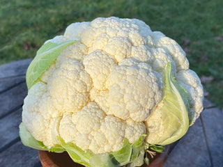 Amazing Cauliflower