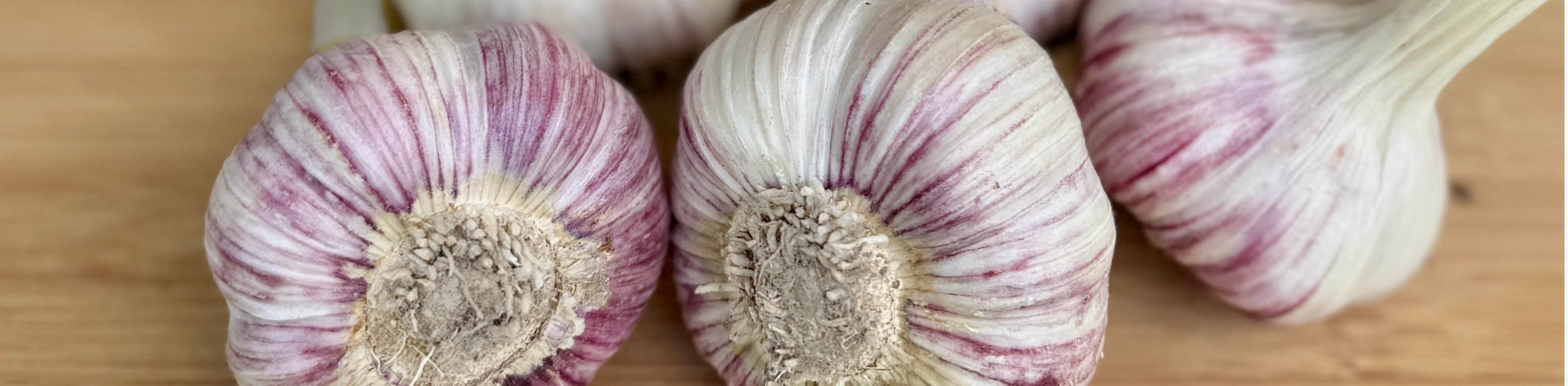 Garlic is Here!