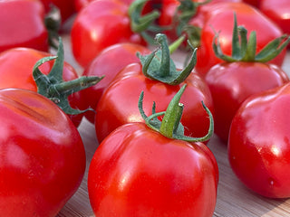 Aosta Organic Tomato