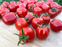 Aosta Organic Tomatoes