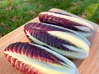 Braci Ardenti Organic Radicchio