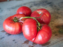 Organic Tomato Plants for Pre-Order