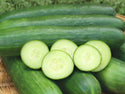 Green Finger Cucumbers in basket