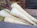 Halblange Organic Parsnip Seeds