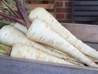 Halblange Organic Parsnip Seeds