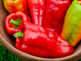 Beaver Dam Organic Hot Pepper