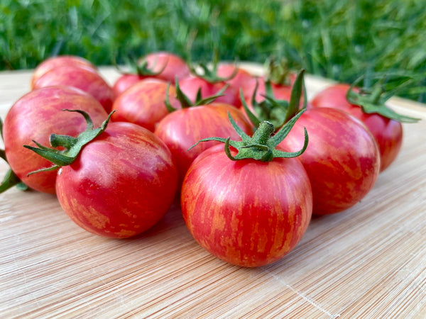 Jewel Organic Tomato Seeds