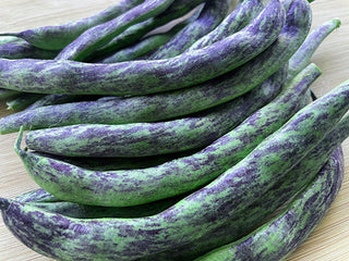 Bobis D'Albenga Organic Bean Seeds