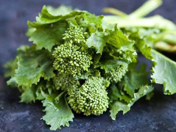 planting broccoli rabe seeds Italian Quick Broccoli Raab Seeds