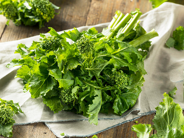 Italian Quick Organic Broccoli Raab on table