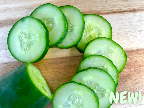 NY Slicing Cucumber Organic Seeds